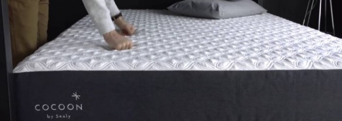 cocoon mattress by sealy
