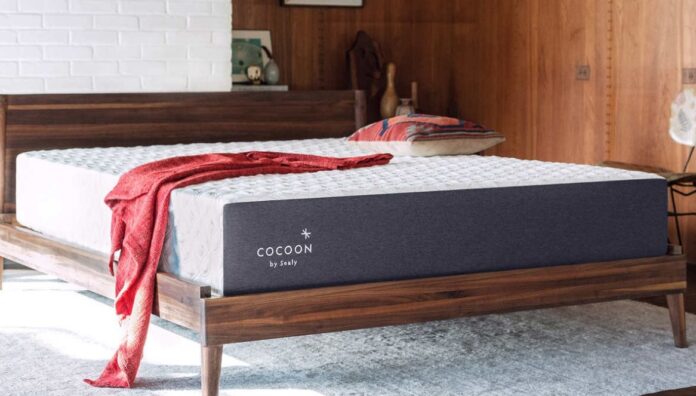 cocoon plush mattress