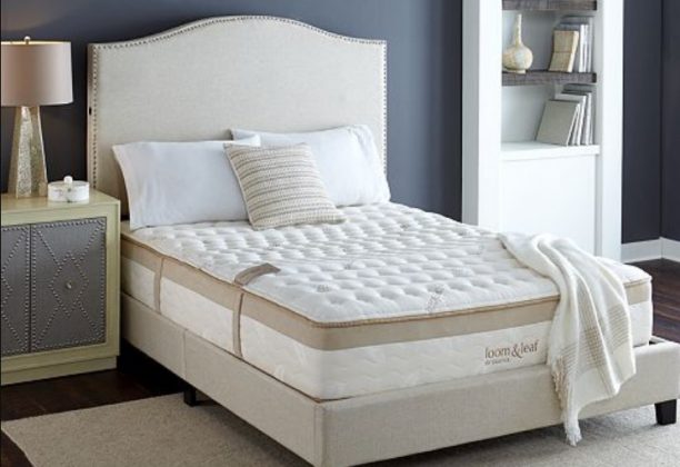 about save and loom & leaf mattress reviews